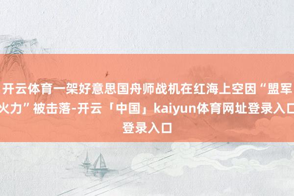 开云体育一架好意思国舟师战机在红海上空因“盟军火力”被击落-开云「中国」kaiyun体育网址登录入口
