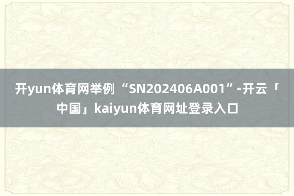 开yun体育网举例 “SN202406A001”-开云「中国」kaiyun体育网址登录入口