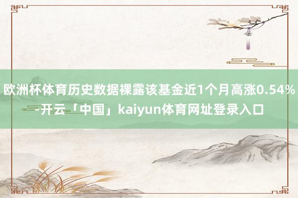 欧洲杯体育历史数据裸露该基金近1个月高涨0.54%-开云「中国」kaiyun体育网址登录入口